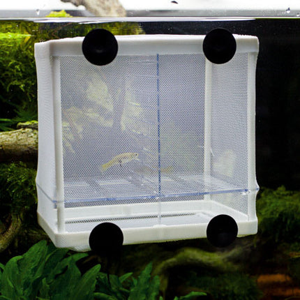 Hobby Nido 3.1 Netzablaichbehälter