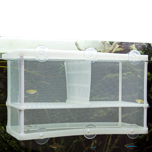 Hobby Nido 3.1 XL Netz Ablaichbehälter