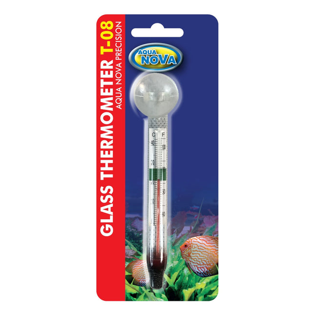 Glas Thermometer