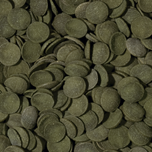 Tropical Green Algae Wafers  1 Liter