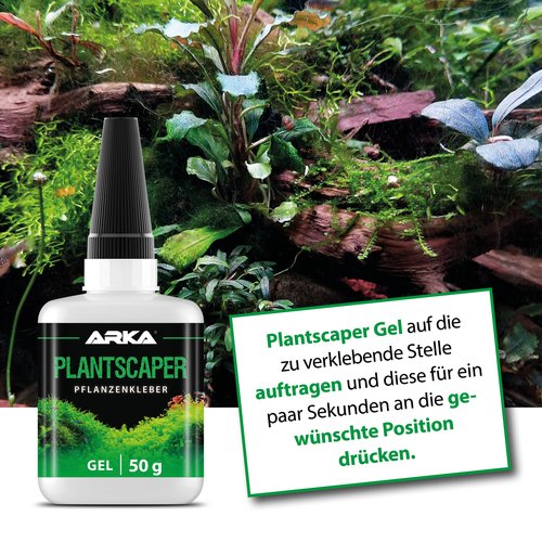 ARKA Plantscaper Pflanzenkleber Gel 50 g